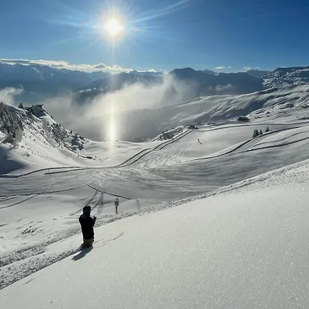 - The Storks - Adults Only