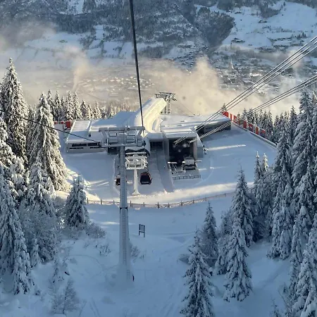 - The Storks - Adults Only ホテル