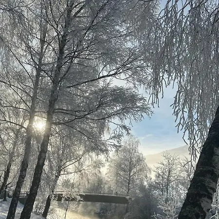 - The Storks - Adults Only מלון *