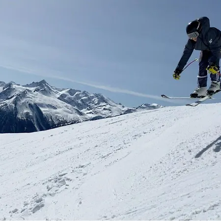 - The Storks - Adults Only