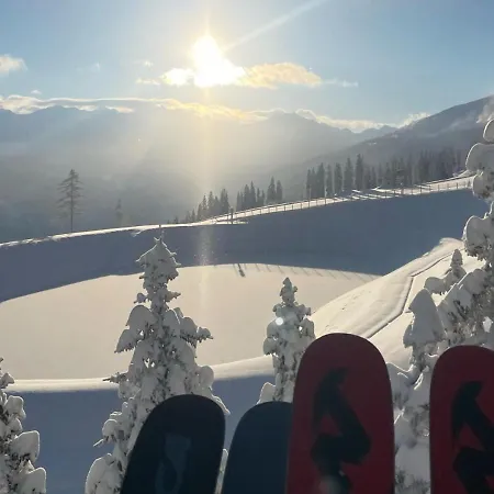 - The Storks - Adults Only