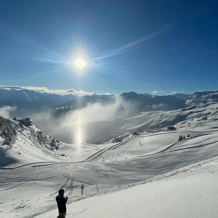 - The Storks - Adults Only ホテル *