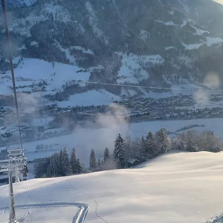 ホテル - The Storks - Adults Only バート・ホーフガシュタイン