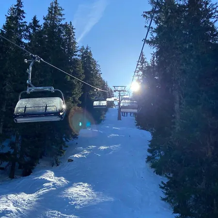 - The Storks - Adults Only באד הופגסטין