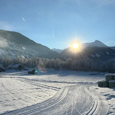 מלון - The Storks - Adults Only *