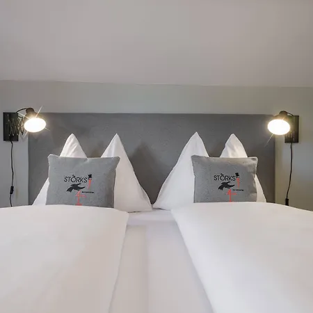 - The Storks - Adults Only מלון