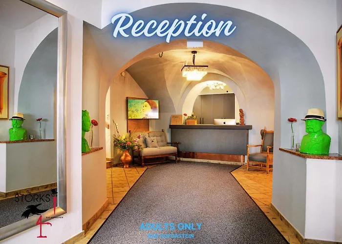 - The Storks - Adults Only *