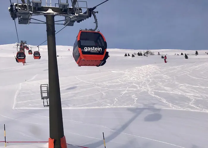 فندق - The Storks - Adults Only