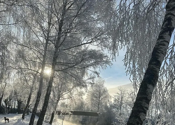 - The Storks - Adults Only Hotel *