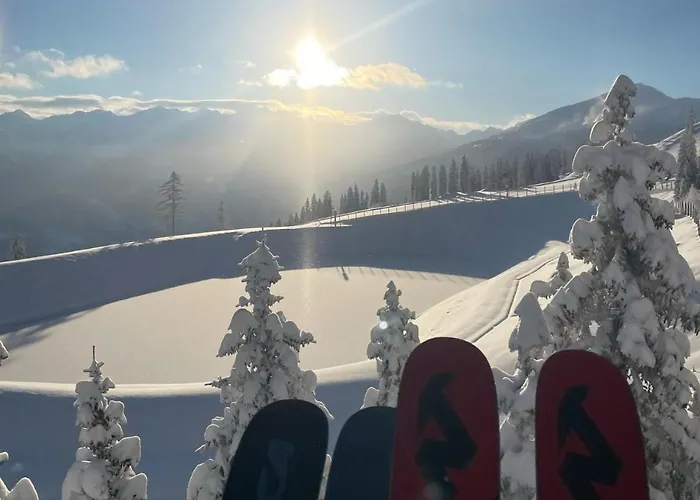 - The Storks - Adults Only