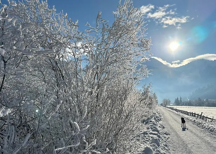 Hotel - The Storks - Adults Only *