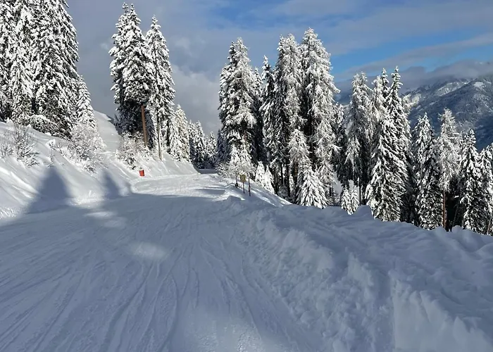 - The Storks - Adults Only فندق