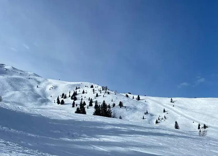 Hotel - The Storks - Adults Only Bad Hofgastein