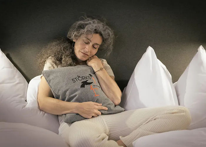 - The Storks - Adults Only Hotel